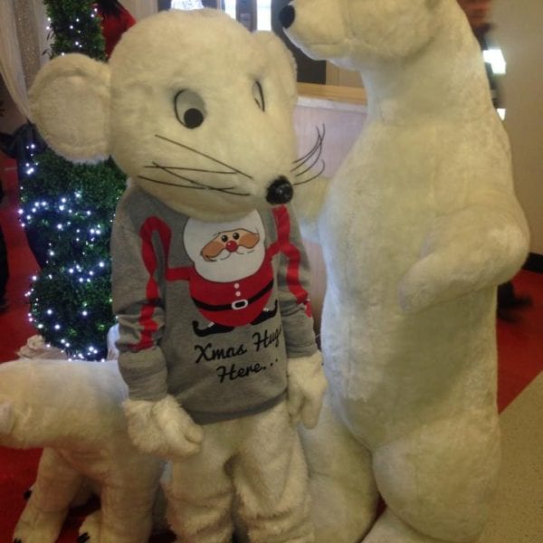 Ryanair Charity Santa Flights | Children's Entertainment Ireland